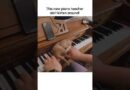 ADORABLE Kitten Plays Piano!