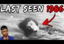 Top 10 Unsolved Disappearances That Will HAUNT you