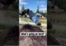 Funny Fails of the Week