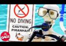 Piranha Attack Caught On Camera  | Just For Laughs Gags