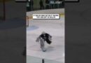 goalies always be tripping over their own crease 🤣